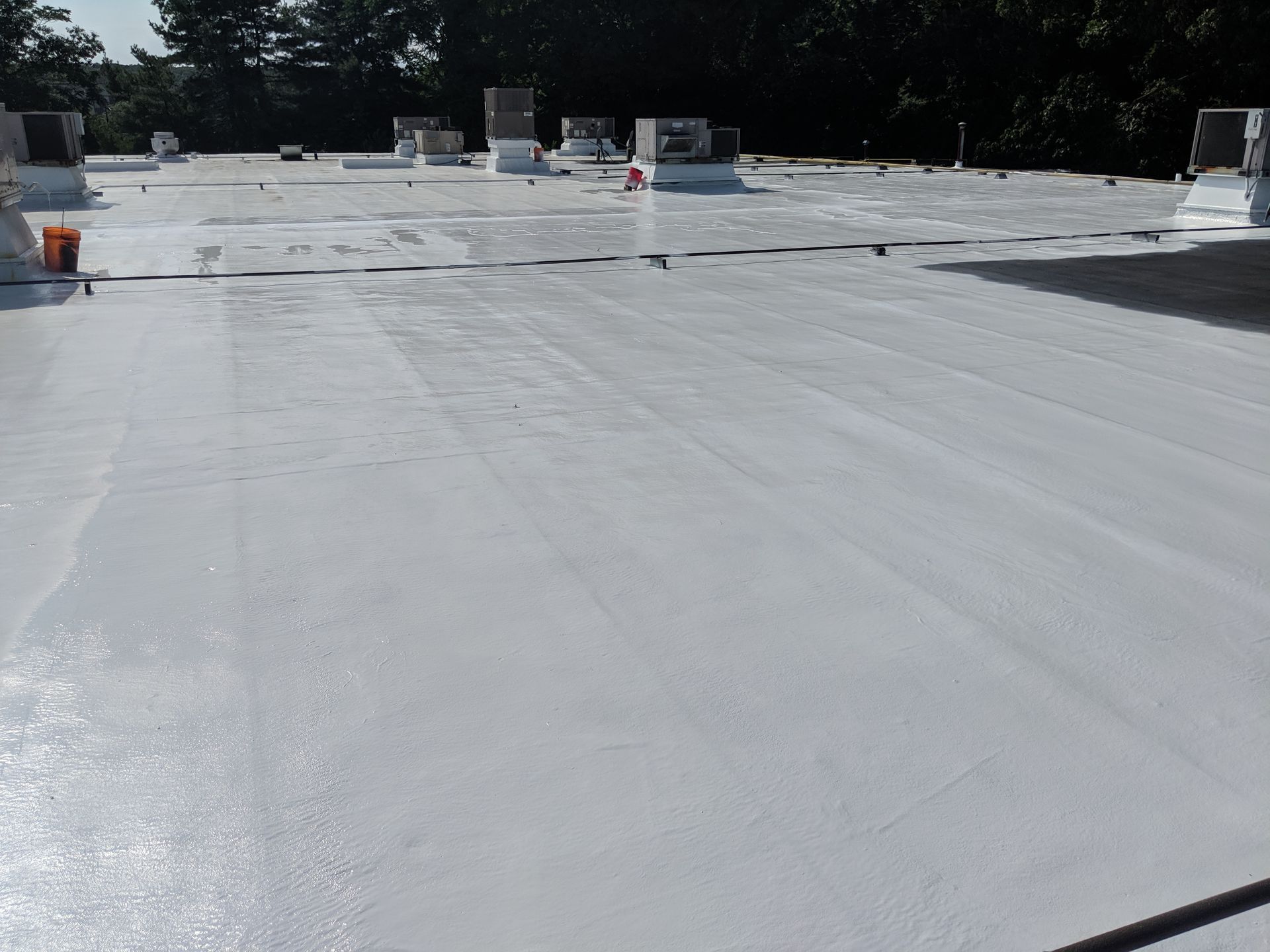 A white roof with a lot of trees in the background