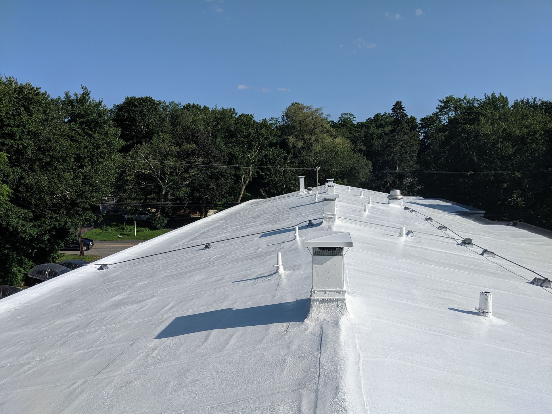 A white roof with trees in the background