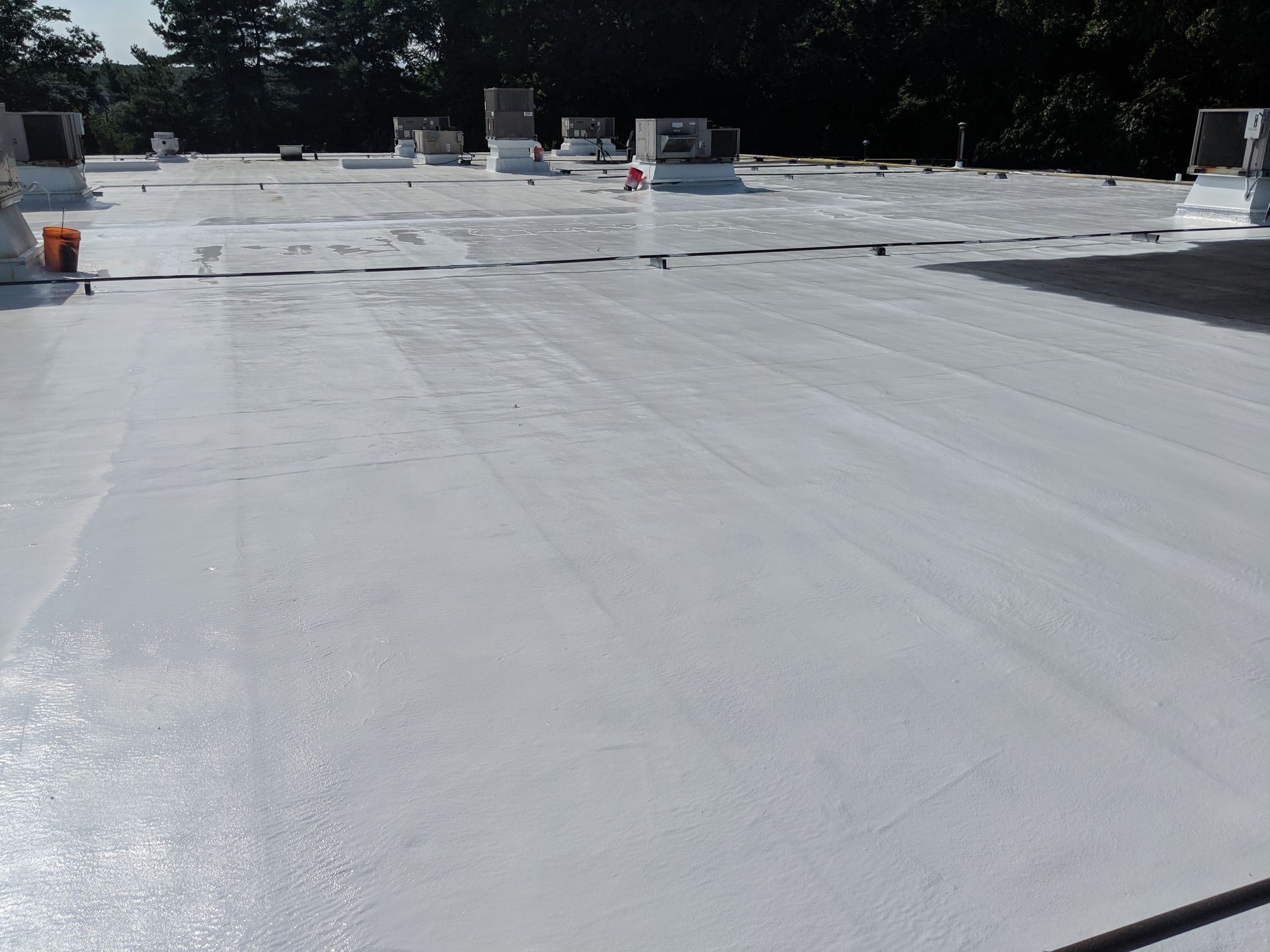 A large white roof with trees in the background