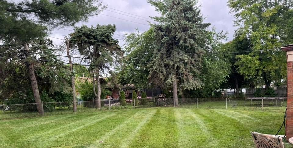 Lush green lawn with striped mowing lines, tall trees, and a cloudy sky in a backyard garden