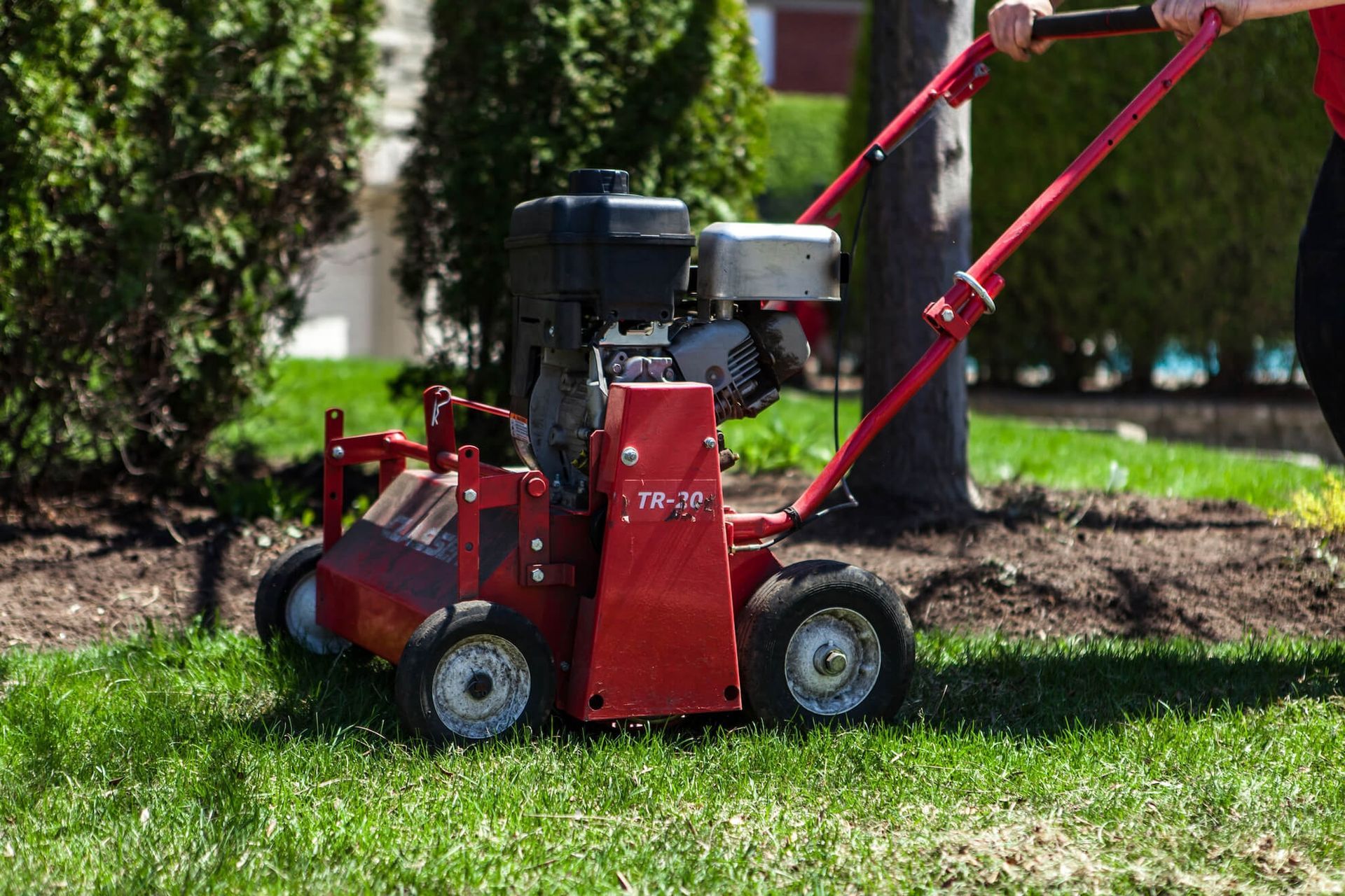Red lawn aerator on grass beside a garden bed, with black handle and wheels.