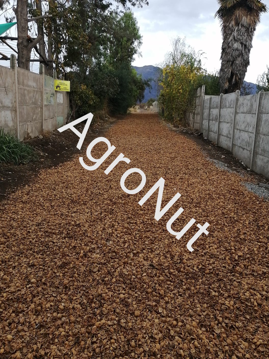 Agro Nut - Venta de Cáscara de Nuez