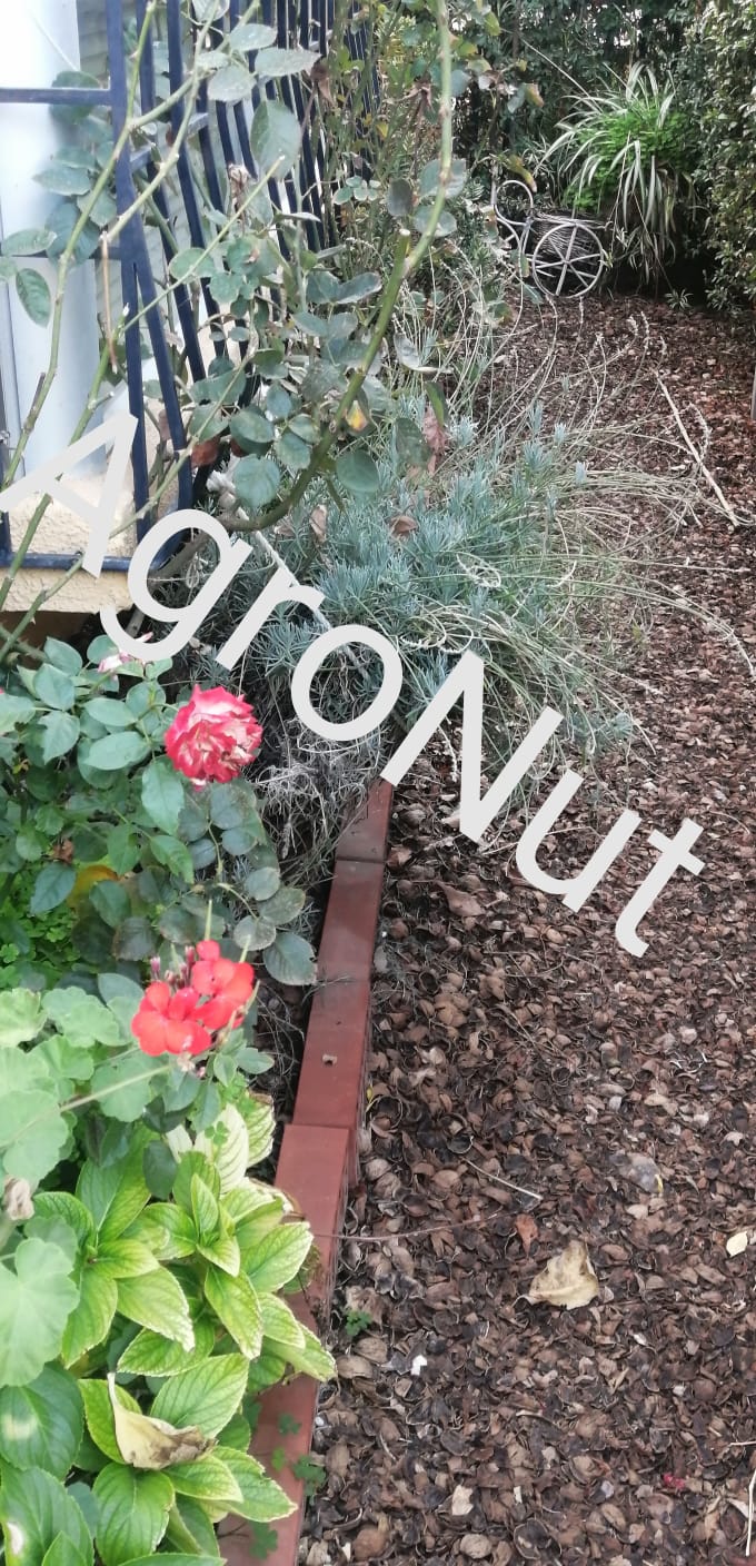 Agro Nut - Venta de Cáscara de Nuez