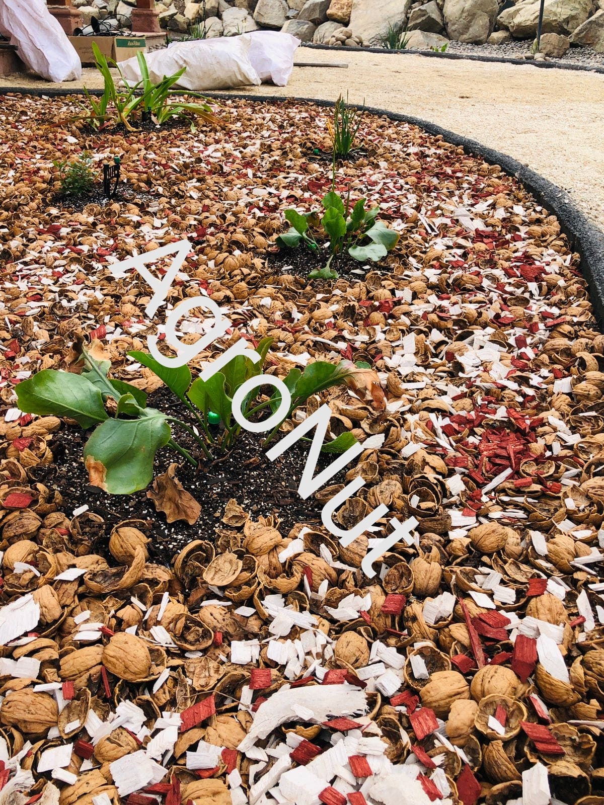 Agro Nut - Venta de Cáscara de Nuez