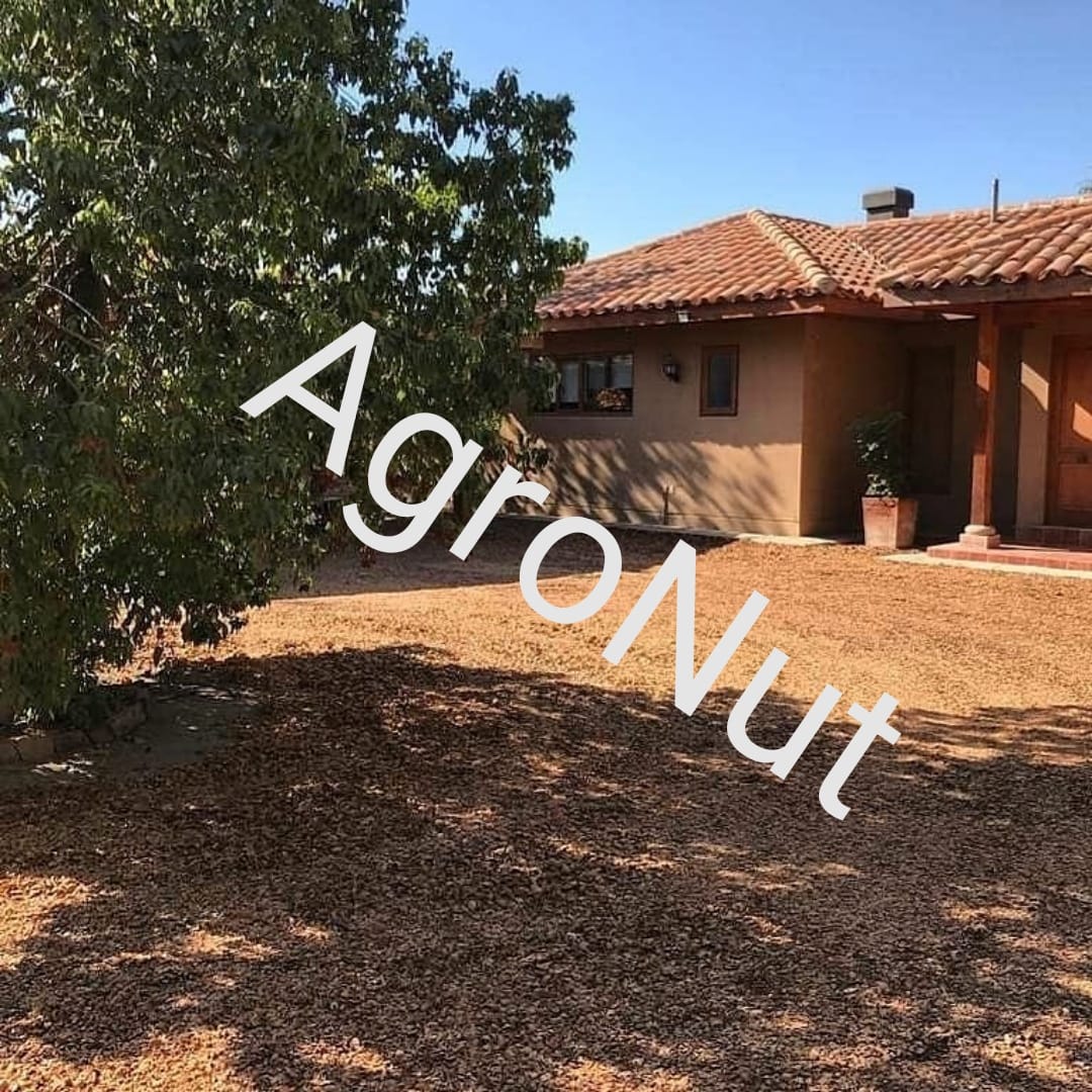 Agro Nut - Venta de Cáscara de Nuez