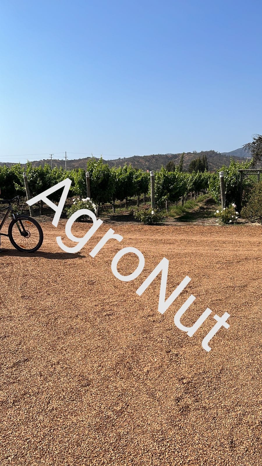 Agro Nut - Venta de Cáscara de Nuez