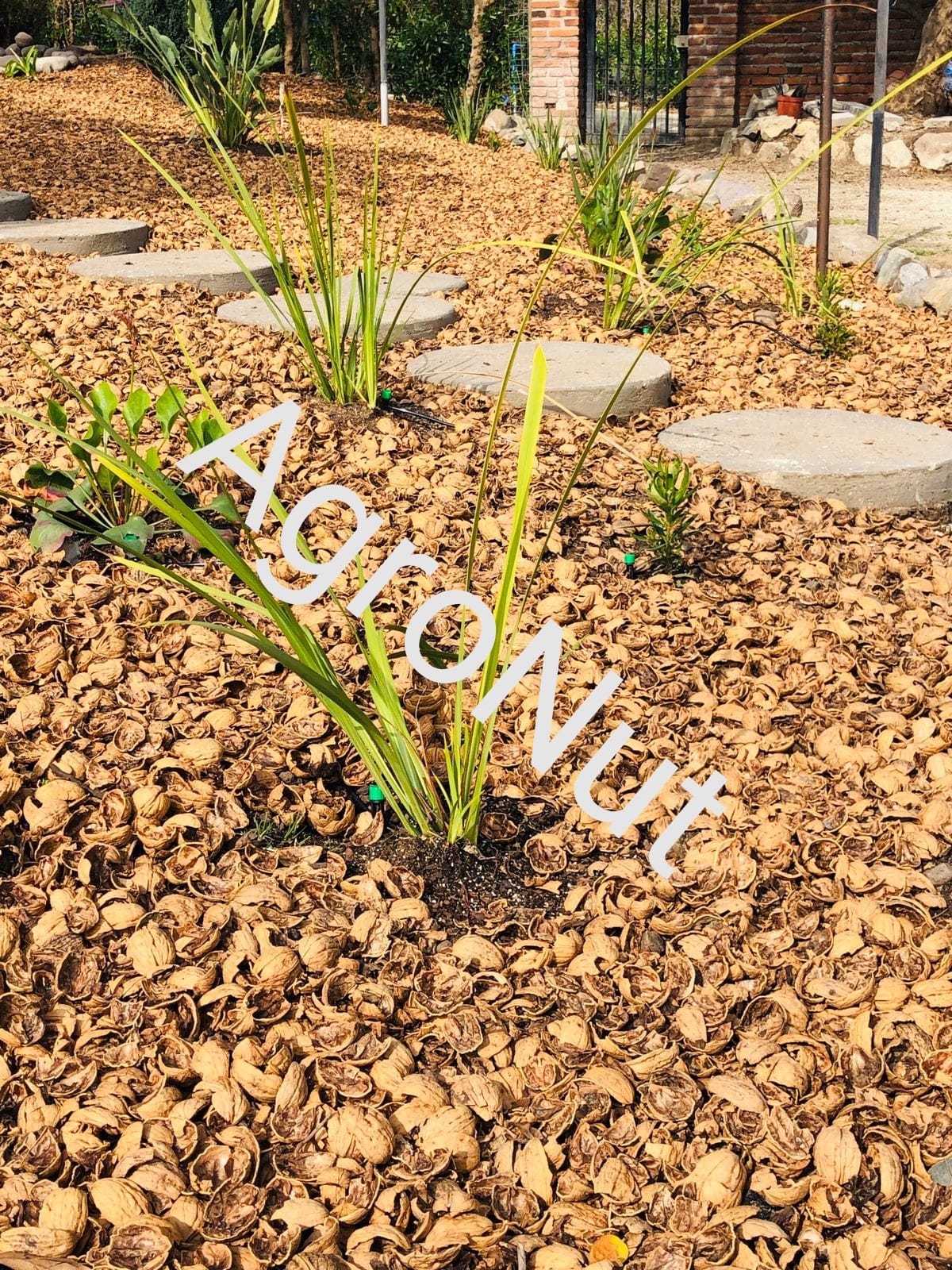 Agro Nut - Venta de Cáscara de Nuez