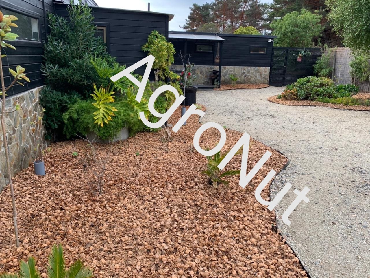 Agro Nut - Venta de Cáscara de Nuez