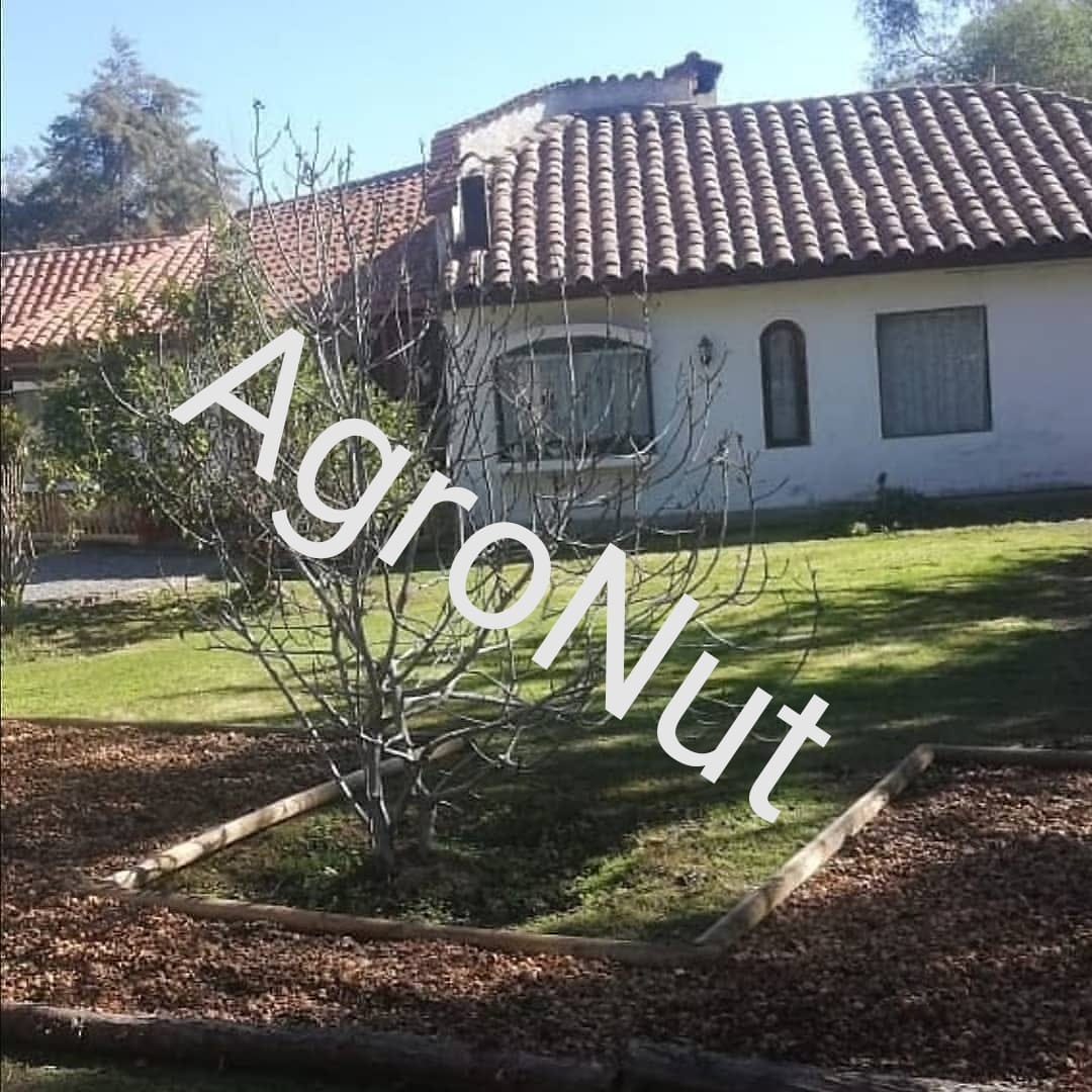 Agro Nut - Venta de Cáscara de Nuez