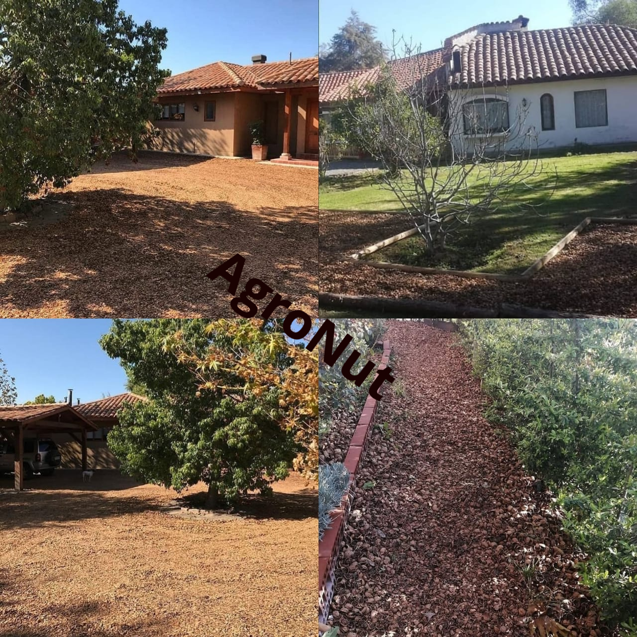 Agro Nut - Venta de Cáscara de Nuez