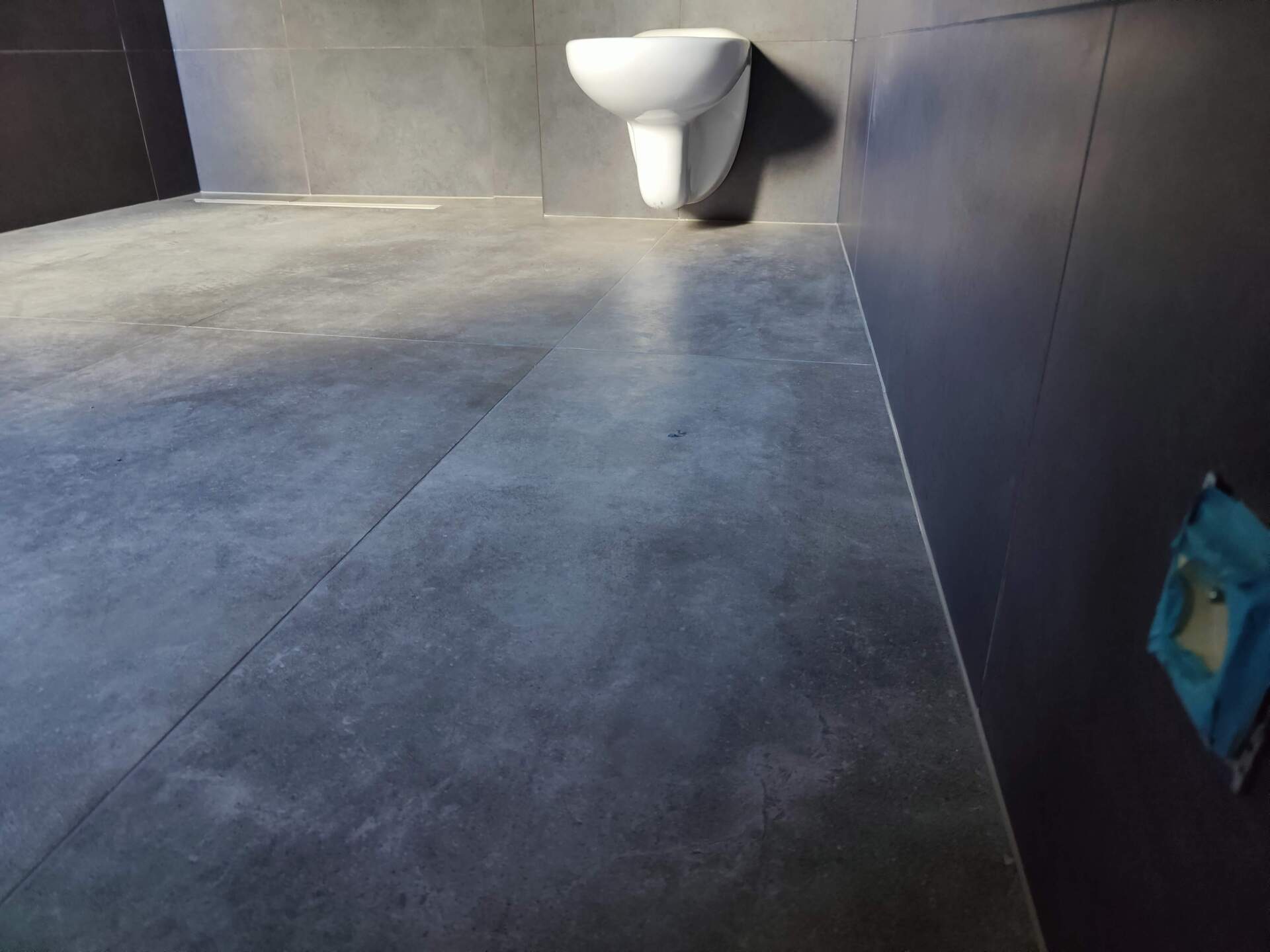 A bathroom with a sink and a toilet on the wall