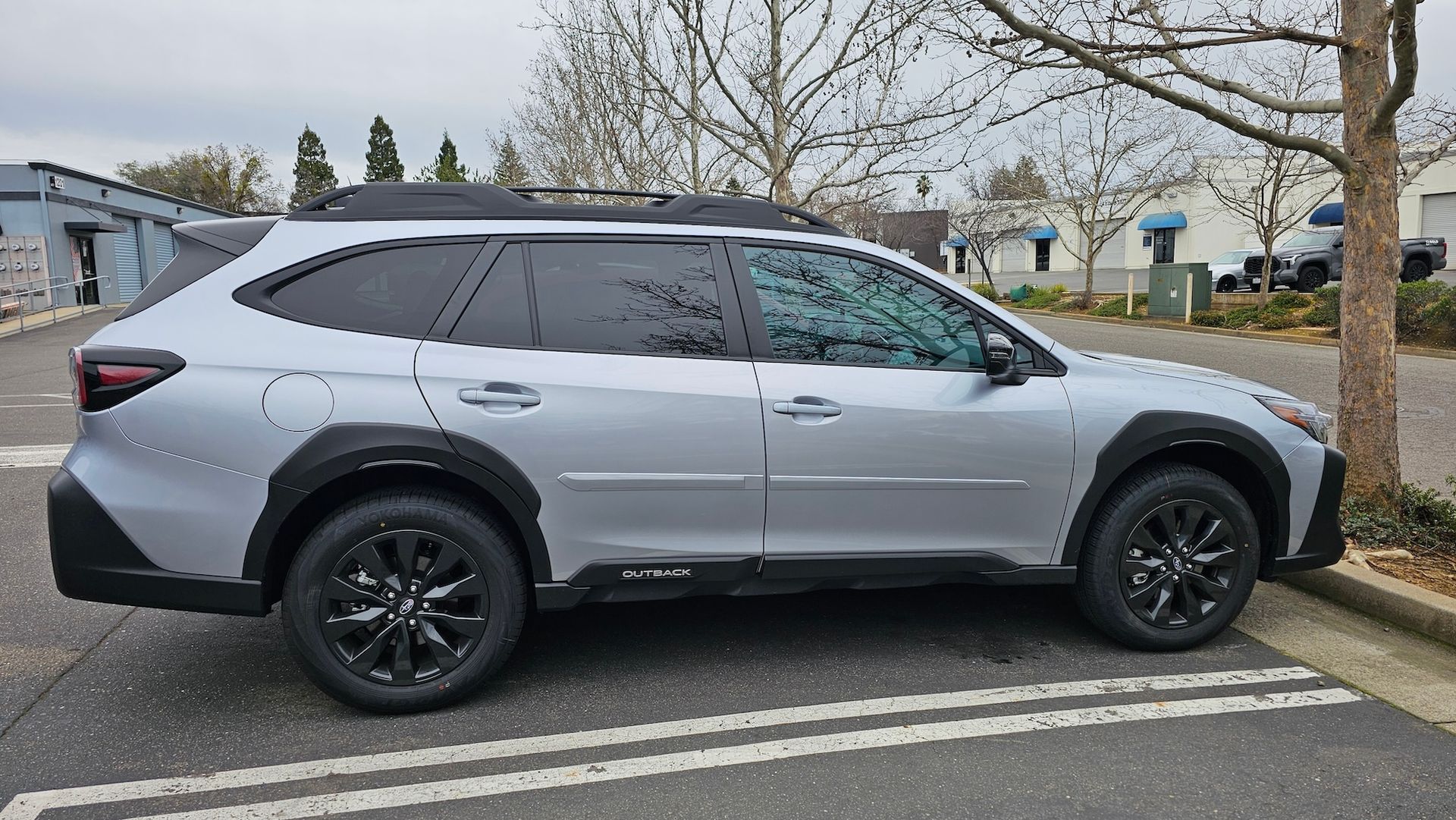 A silver suv is parked in a parking lot next to a tree.