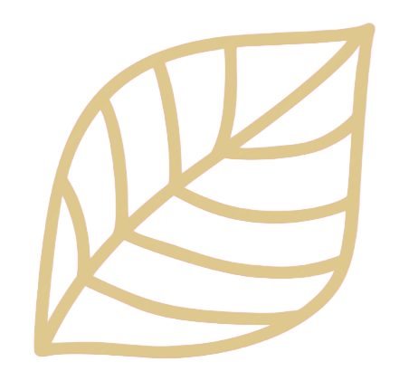 Contour doré d'une feuille avec ses nervures.