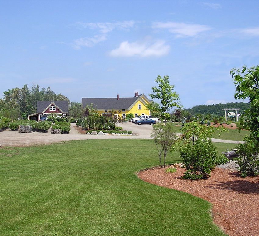 Landscaped yard with green lawn, shrubs, and a yellow house under a blue sky