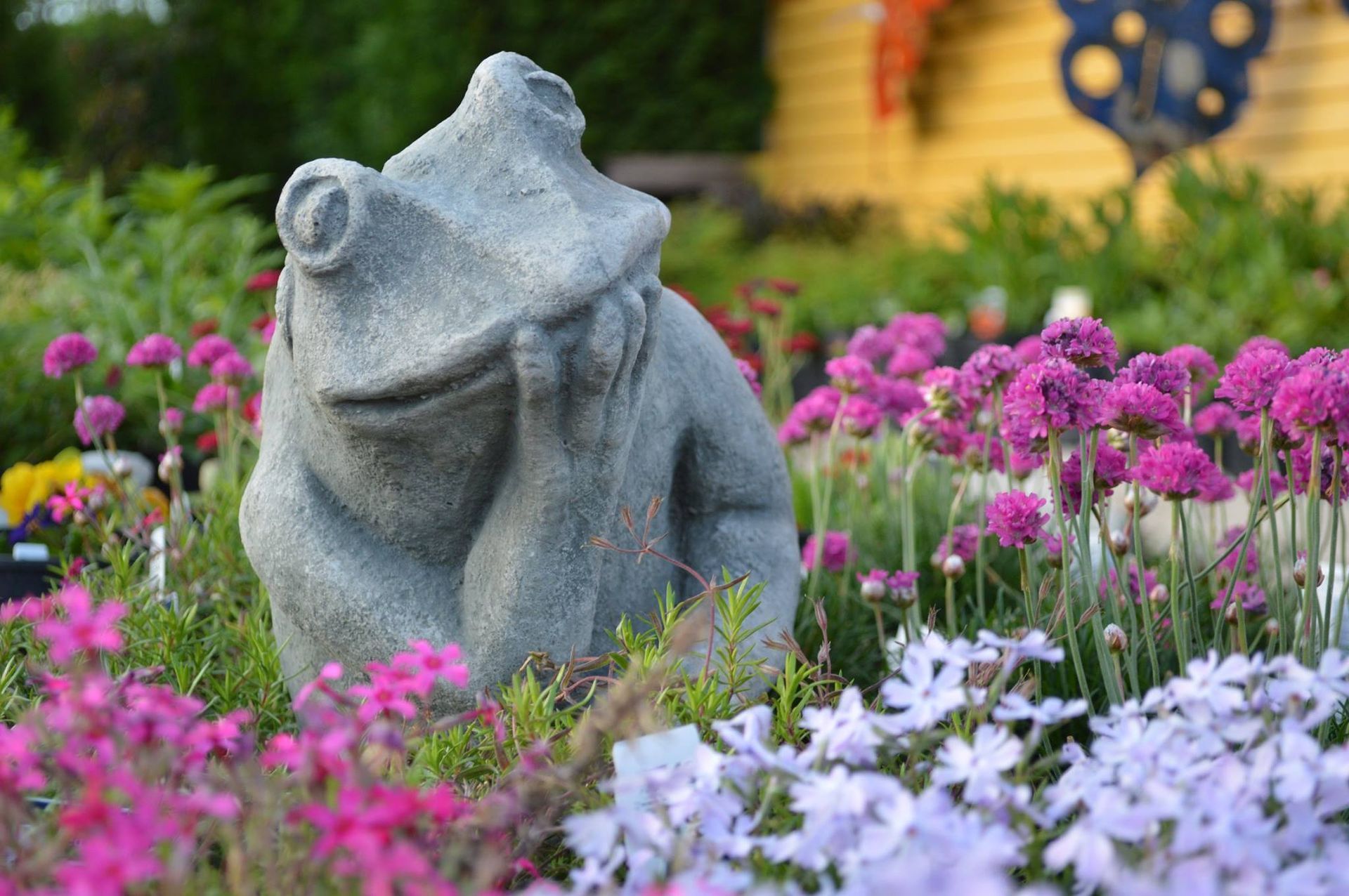Stone frog statue among pink and white flowers in a garden