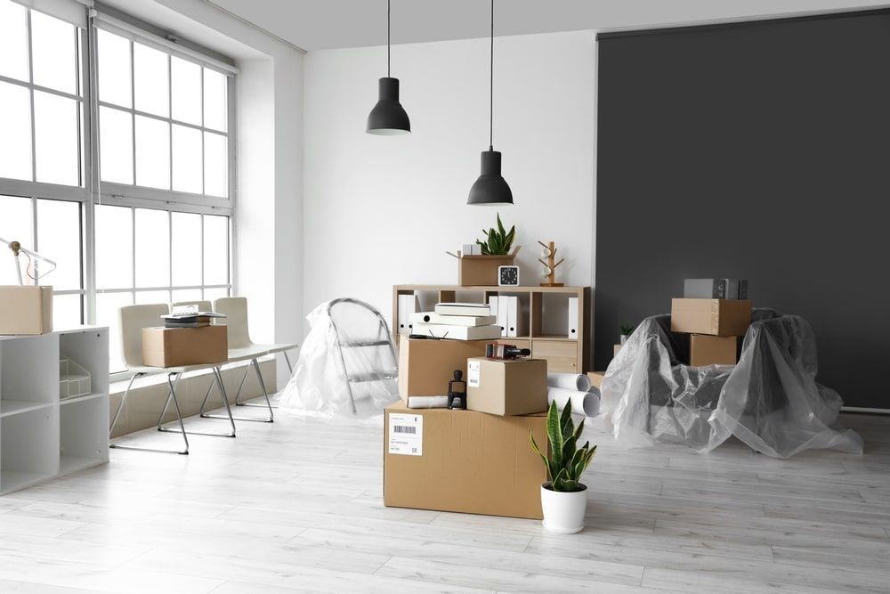 A Bright Room With Moving Boxes, Plants, and Furniture. Black Pendant Lights Hang From the Ceiling