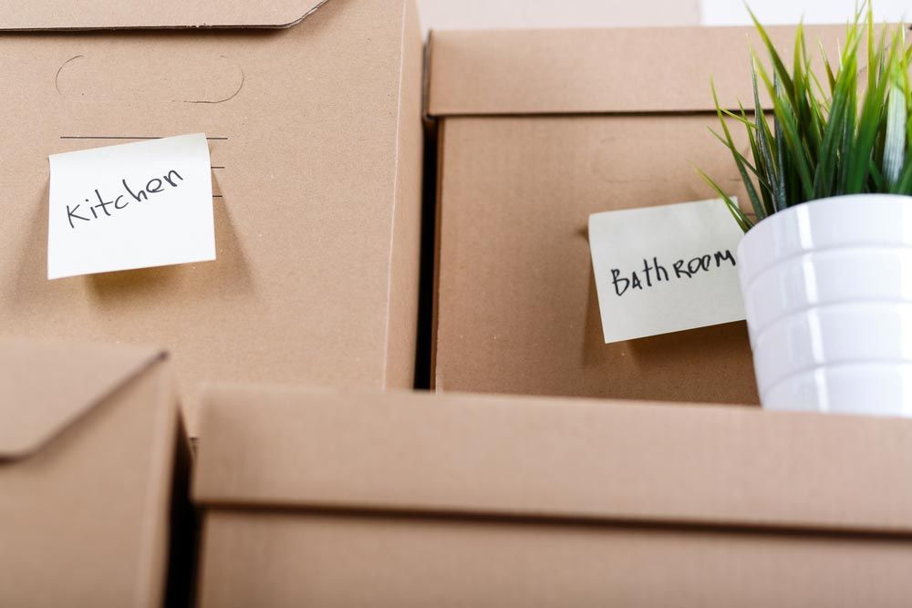 Boxes With Label