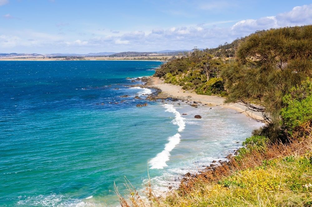 A View Of A Beach From A Cliff Overlooking The Ocean — Greater Newcastle Removals In Mayfield, NSW