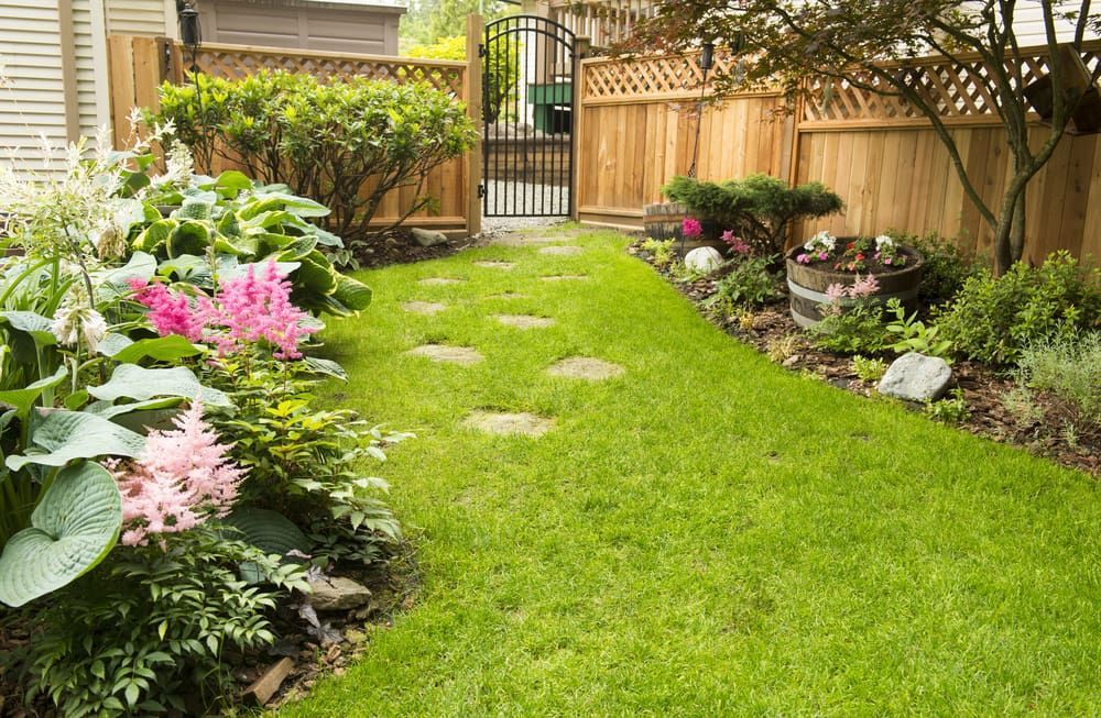 A Lush Green Backyard With A Wooden Fence And Flowers — Envy Landscape Supplies In Urangan, QLD
