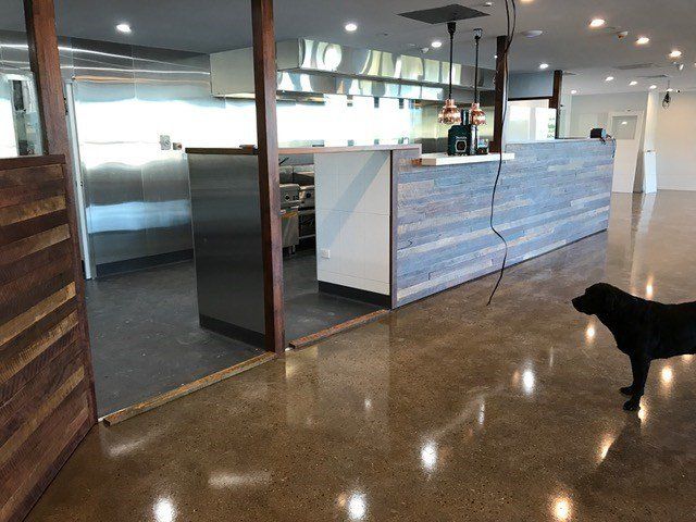 A dog standing in front of a counter in a restaurant — Red Emperor Constructions in Cannonvale, QLD
