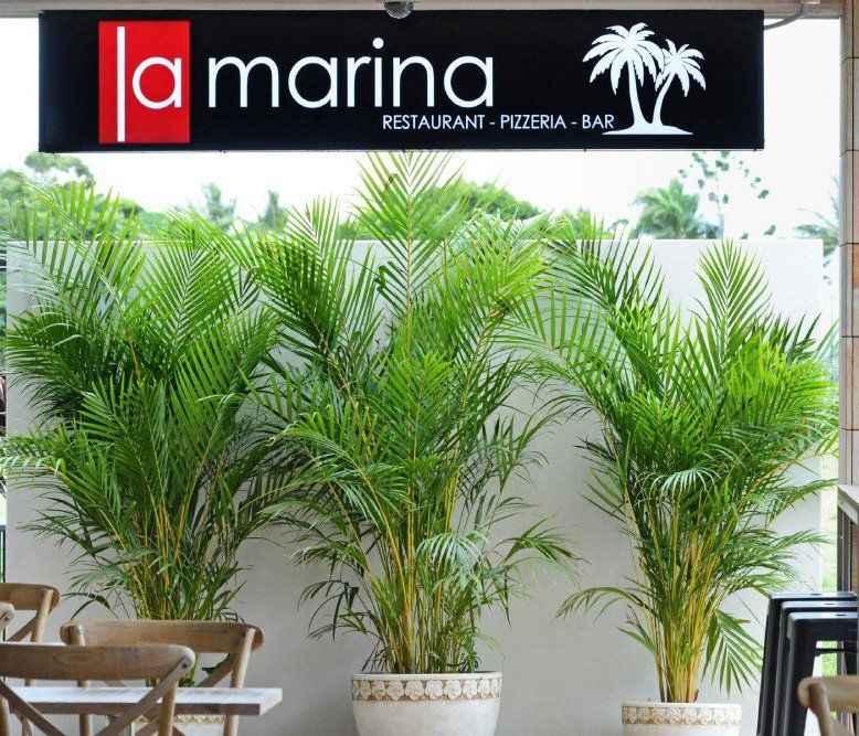 La Marina Restaurant — Red Emperor Constructions in Cannonvale, QLD