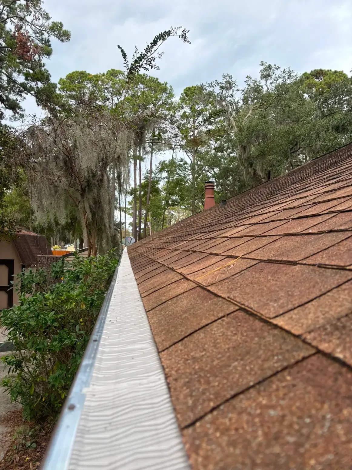 A gutter cover installed along the edge of a shingled roof, with trees and a brick chimney visible in the background.