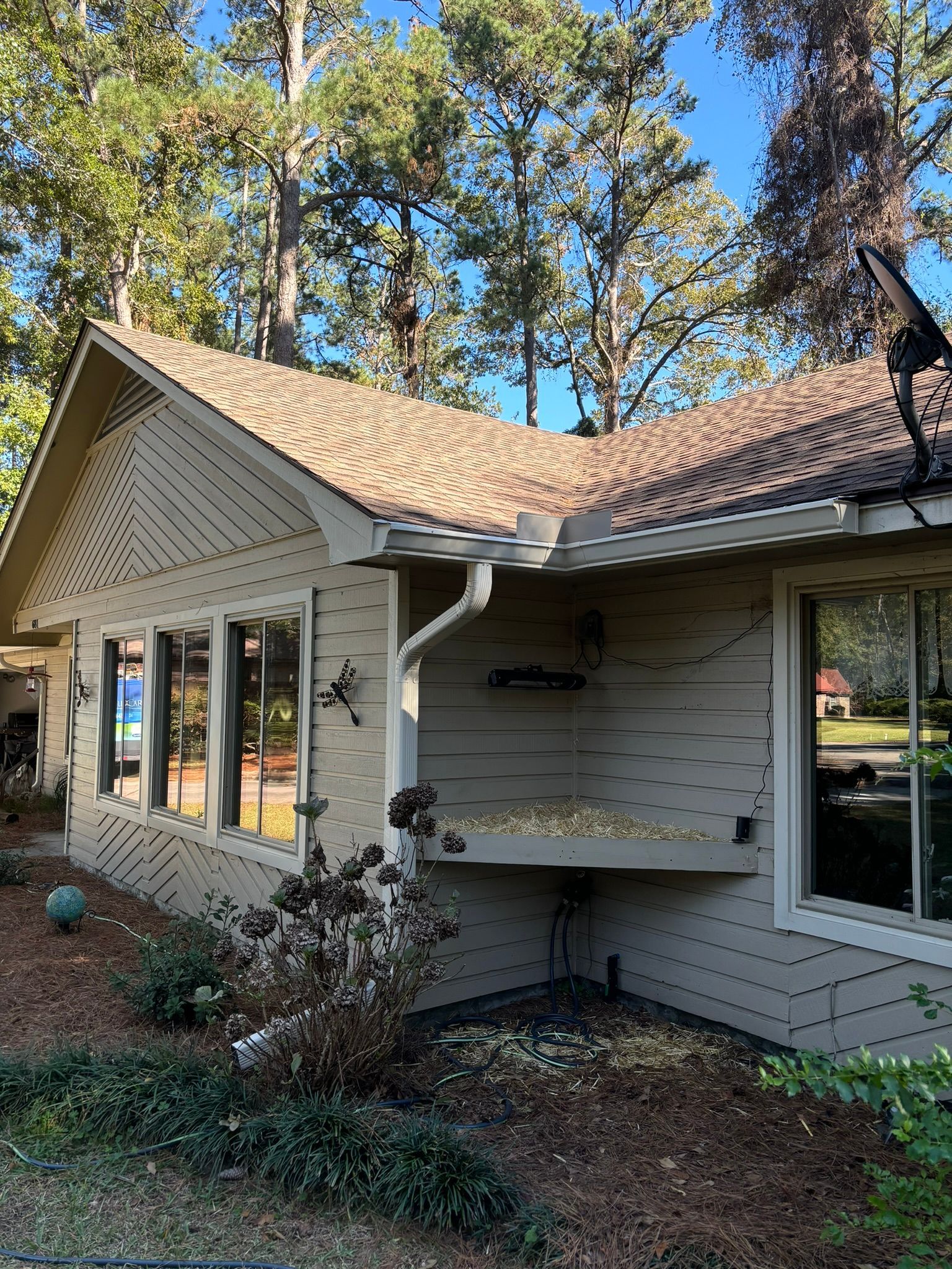 Tan single-story house with diagonal siding, large windows, a shingled roof, and a corner shelf, set among pine trees.