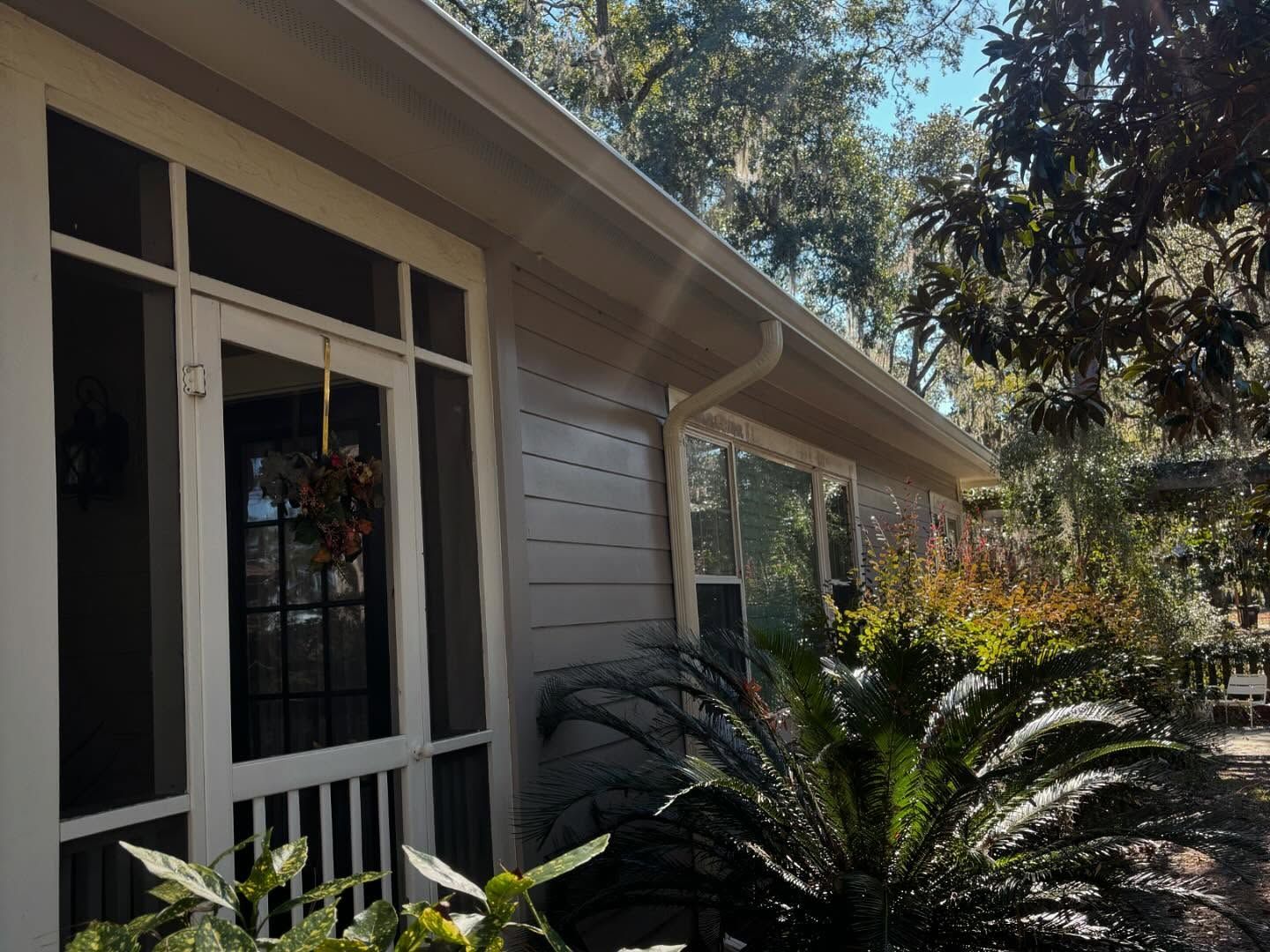 A side view of a house with light gray horizontal siding, a screen door, and a large palm-like plant in the yard.