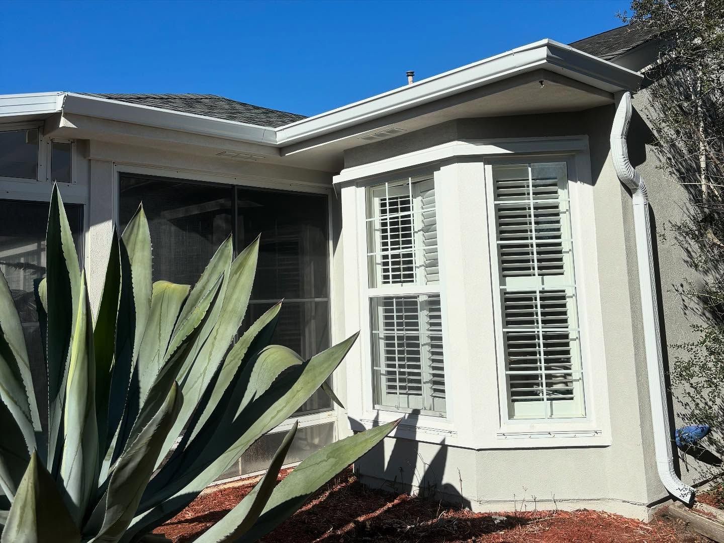 A tan house with a bay window and white shutters next to a large agave plant against a blue sky.