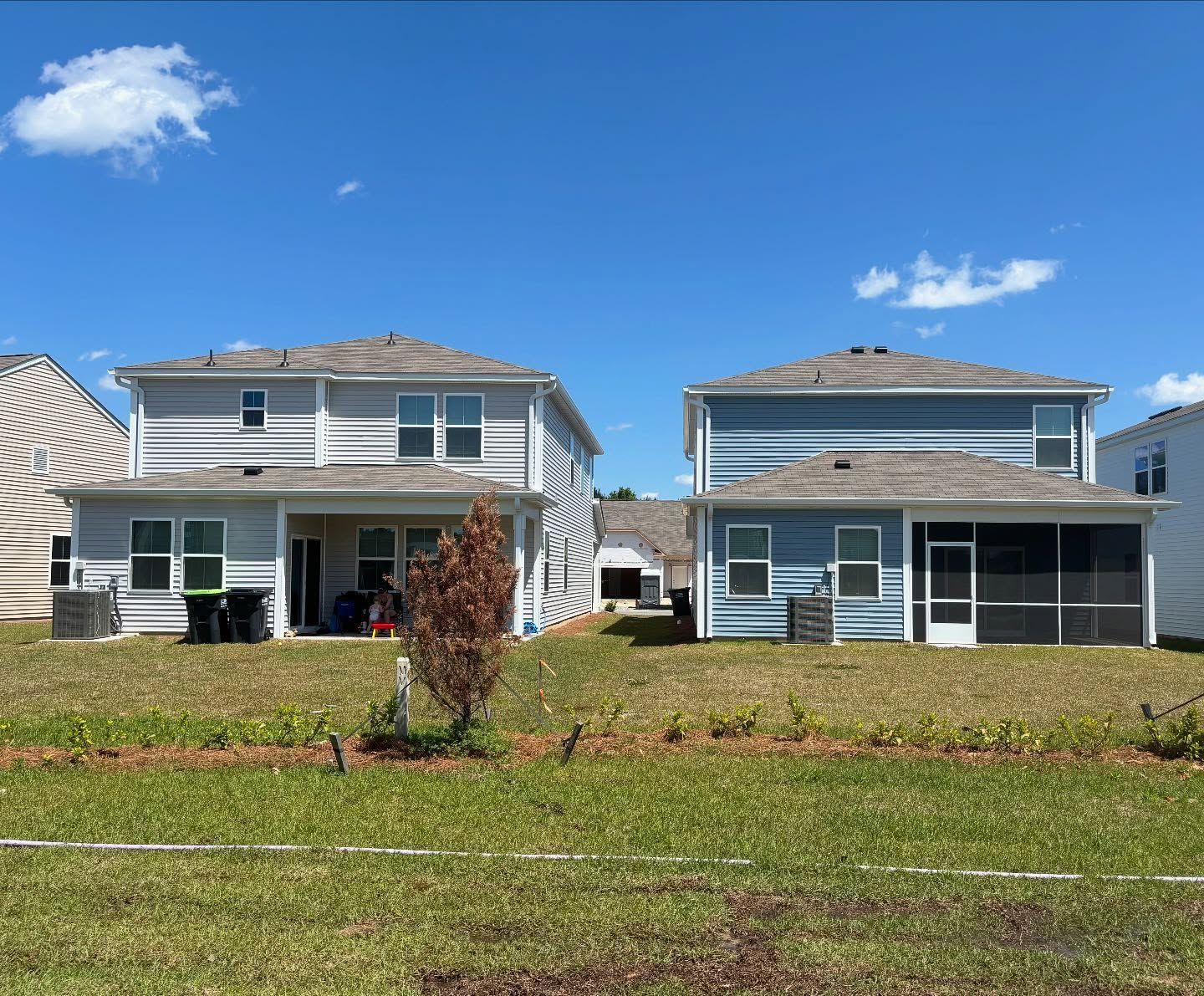 Rear view of two two-story residential homes under a clear blue sky, featuring light siding and a small, dry tree.