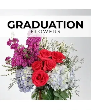 Graduation flowers with red roses, purple stock, and blue hydrangeas on a white background.