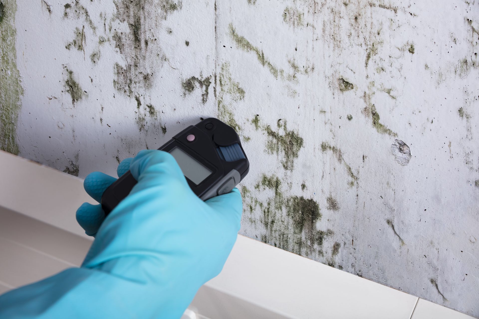 A person wearing blue gloves is holding a thermometer in front of a mouldy wall.