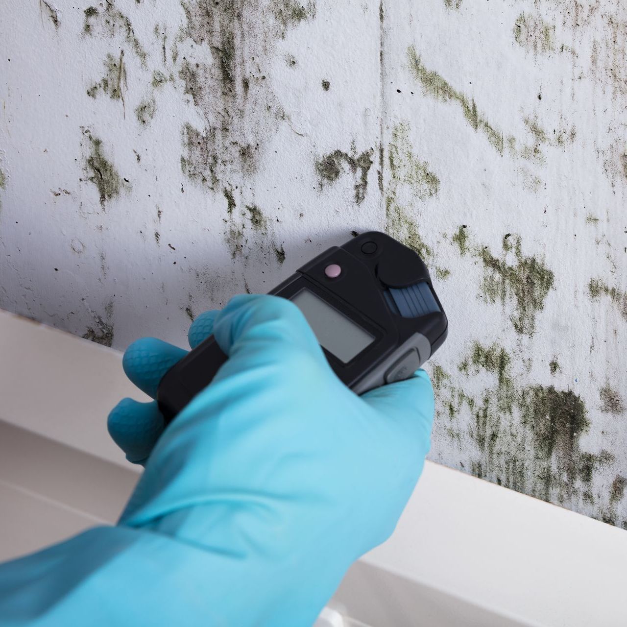 A person wearing blue gloves is holding a device in front of a mouldy wall