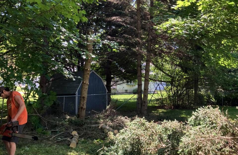 A man is standing in a yard cutting trees with a chainsaw.