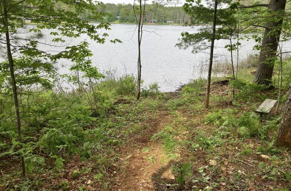 There is a path leading to a lake in the woods.