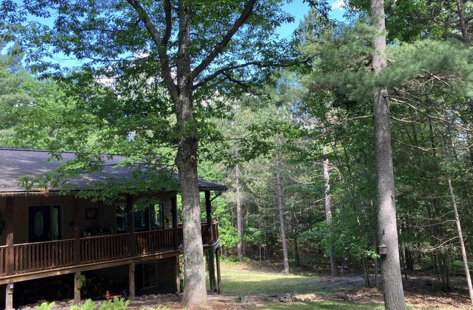 A cabin in the middle of a forest surrounded by trees.