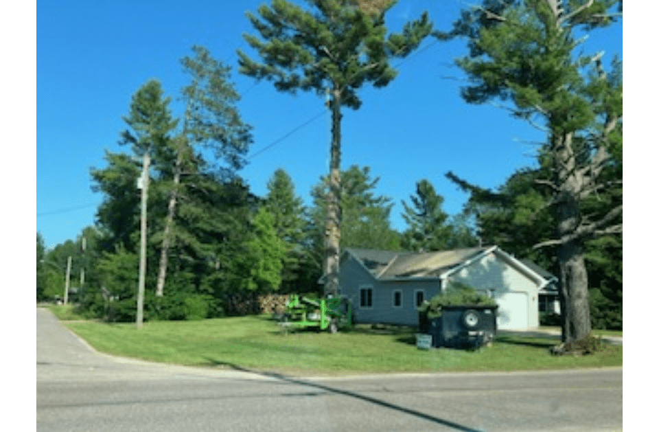 A house with a large tree in front of it