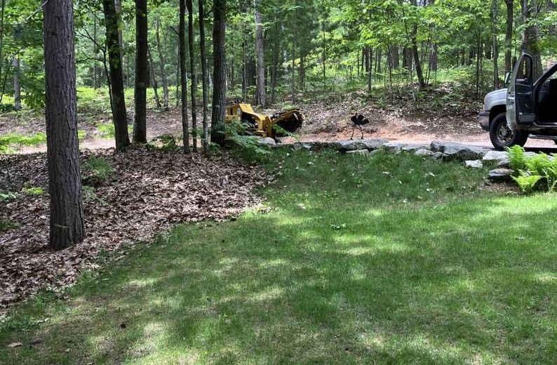 A truck is parked in a yard in the woods.