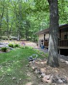 A house in the middle of a forest with a tree in front of it.
