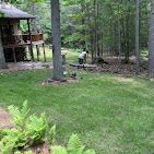A house in the middle of a forest with a large lawn in front of it.