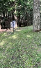 A lush green field with trees and a shed in the background.