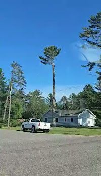 A white truck is parked in front of a house next to a tree.