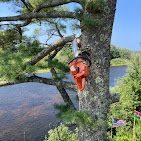 A statue of a witch is hanging from a tree next to a river.