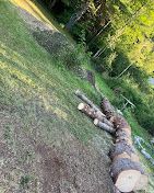 A bunch of logs are laying on the ground in a field.