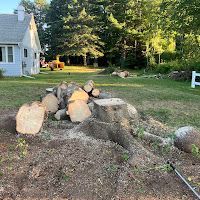 A pile of logs and stump in a yard in front of a house.