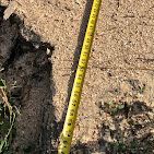 A yellow tape measure is sitting on top of a pile of dirt.