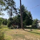 There is a telephone pole in the middle of the yard.