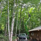 A truck is driving through a forest next to a house.
