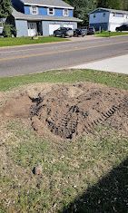 A large tree stump in the middle of a yard next to a road.