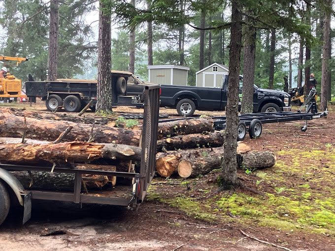 A truck is carrying logs on a trailer in a forest.